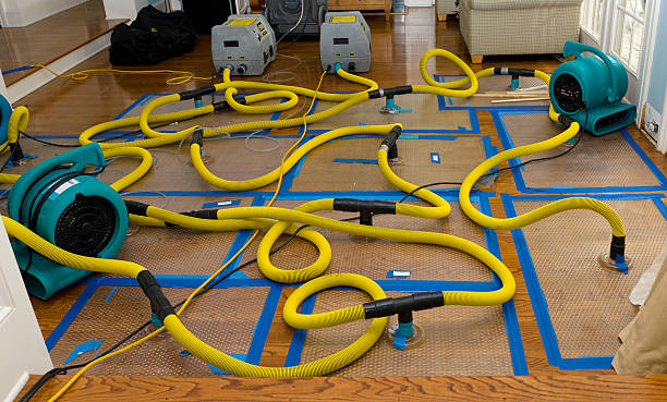 Professional Sewage Cleanup technician working in Lannon, WI